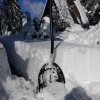 Rakitna objeta v 60-70cm debelo snežno odejo 4.2.2018 Matic Cankar 1